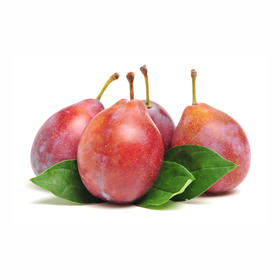 智利西梅JJ Chile Prune