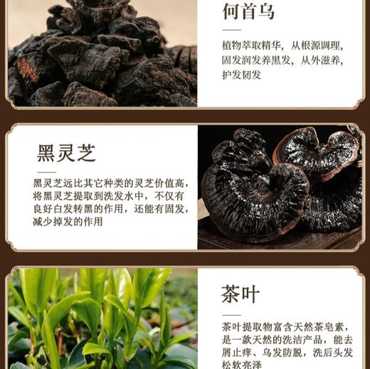 【第2瓶半价】广药白云山何首乌洗发水  500ml/瓶 商品图2