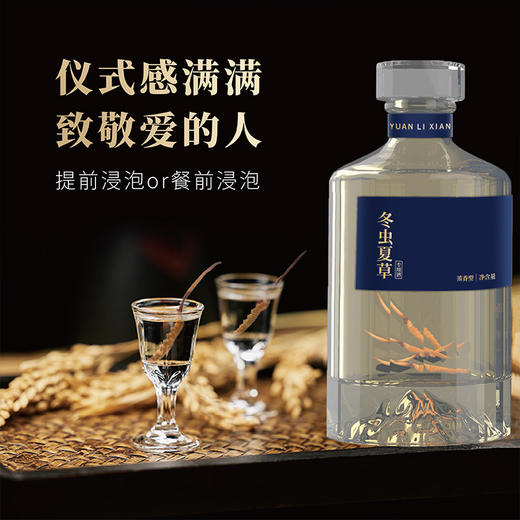 元力仙 冬虫夏草酒 浓香型 商品图4