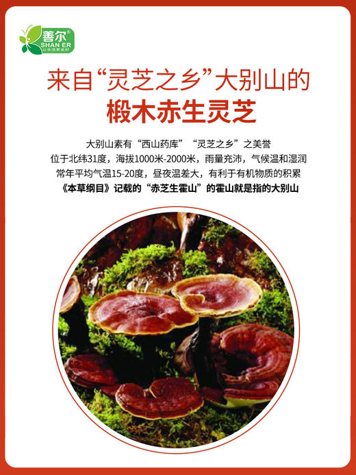【一乐老师专属】膳贞破壁灵芝孢子粉1.5克*30袋/盒 商品图2