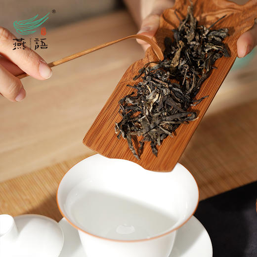 燕语2023冰岛头采古树春饼礼盒349g（生普） 商品图4