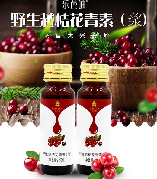乐芭迪大兴安岭野生越桔花青素 蔓越莓原浆浓缩汁 孕妇儿童口服液 商品图14