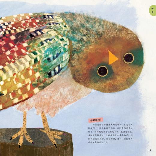 《一天一问奇趣小百科》（全4册） 商品图13