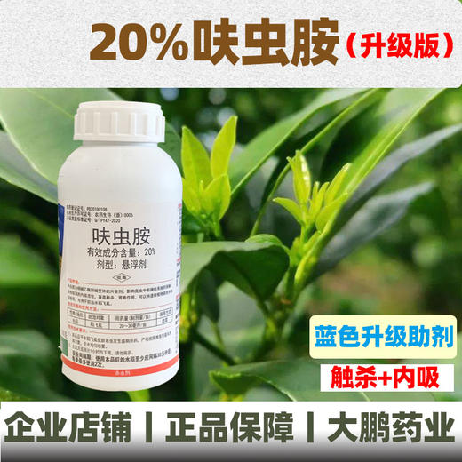 呋虫胺升级版介壳虫蚜虫小黑飞蓟马跳甲家用强力防杀虫剂蟑螂跳蚤 商品图0