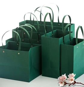 QT-STD-004天蓝/墨绿/粉 手提袋 礼袋
