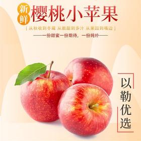 【新疆】樱桃苹果