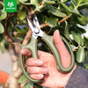 沃施worth 园艺修枝剪刀家用尖头剪花枝树枝盆栽修剪工具花艺剪刀 商品缩略图1