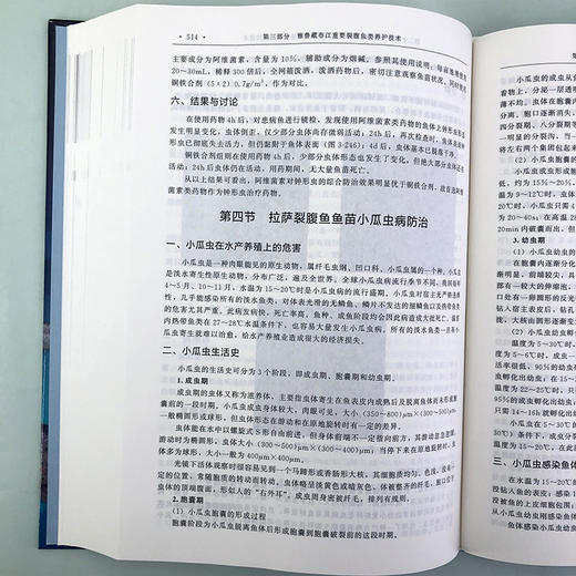 雅鲁藏布江裂腹鱼类养护体系及典型生境识别 商品图7