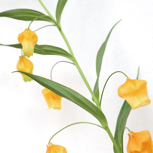 四月芳菲，水木清华。 商品图0