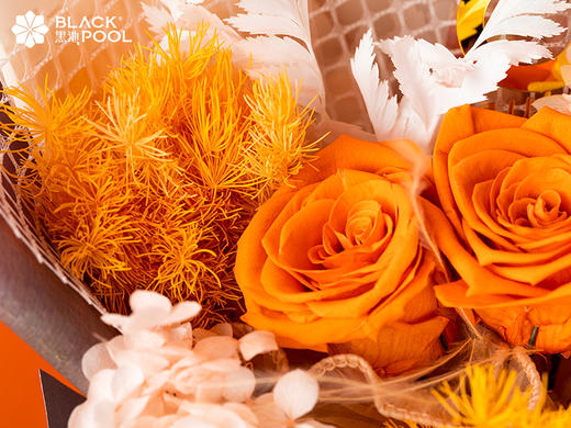 【日照金山永生守护花】四月愿时光闪闪发亮，生活熠熠生辉。 商品图3