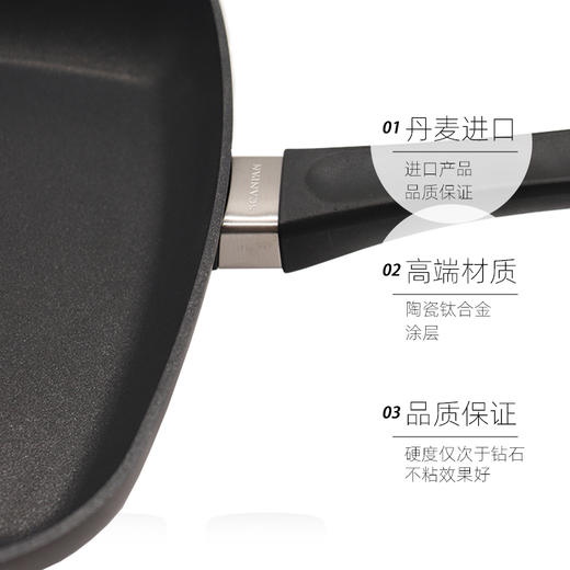 丹麦原装进口SCANPAN经典系列不粘牛排锅27cm 商品图4