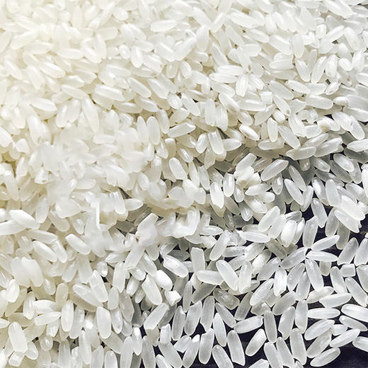 林中宝牌大米 五常有机种植稻花香2号 原粮稻花香2号 商品图2