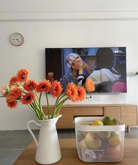 橙色拉丝非洲菊4支（拼团）