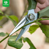 沃施worth 园艺修枝剪刀家用尖头剪花枝树枝盆栽修剪工具花艺剪刀 商品缩略图2