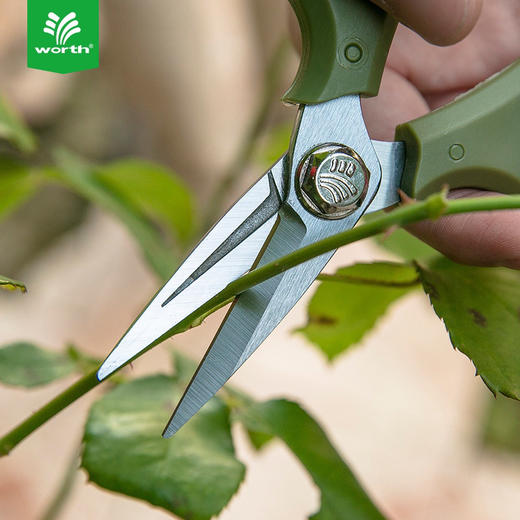 沃施worth 园艺修枝剪刀家用尖头剪花枝树枝盆栽修剪工具花艺剪刀 商品图2