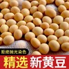 太粮唐顿农庄黄豆500g 商品缩略图3
