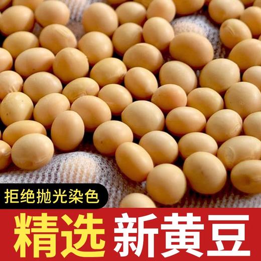 太粮唐顿农庄黄豆500g 商品图3