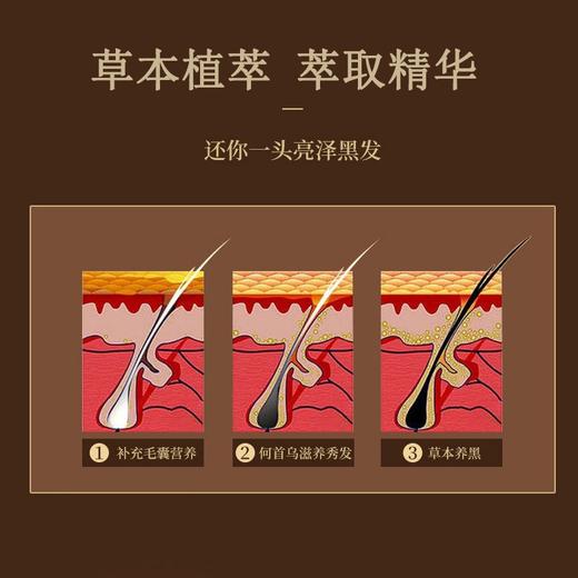 【第2瓶半价】广药白云山何首乌洗发水  500ml/瓶 商品图10