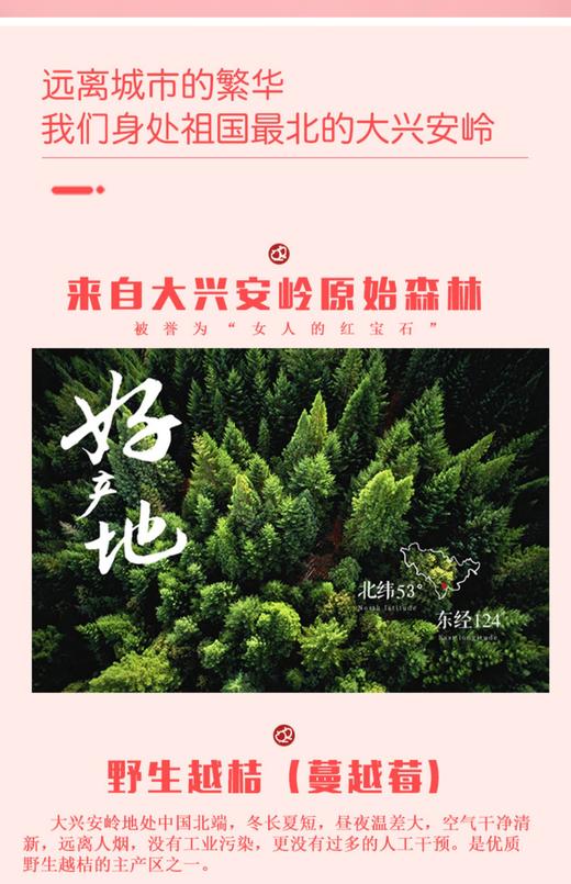 乐芭迪大兴安岭野生越桔花青素 蔓越莓原浆浓缩汁 孕妇儿童口服液 商品图1