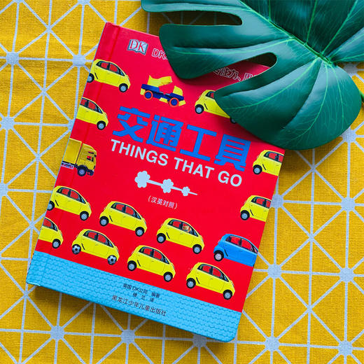 DK幼儿观察力专注力思维力训练 交通工具 英国DK公司 著 幼儿启蒙 商品图2
