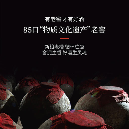 元力仙 冬虫夏草酒 浓香型 商品图3