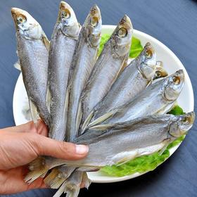 湖之香阳干小刁子鱼200g