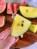 金玉满堂！皮薄且脆【春玉/金玉西瓜】2k小西瓜 手剥小西瓜 果肉红艳 金黄可爱 水分足 甘甜如冰糖～ 商品缩略图9