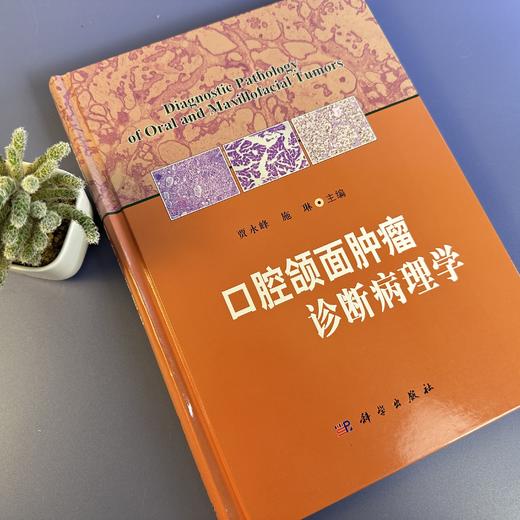 口腔颌面zhong瘤诊断病理学/贾永峰 施琳 商品图4