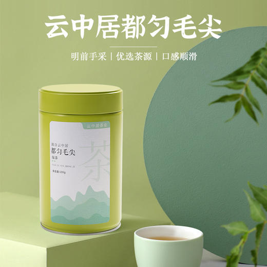 云中居 都匀毛尖罐装100g 商品图4