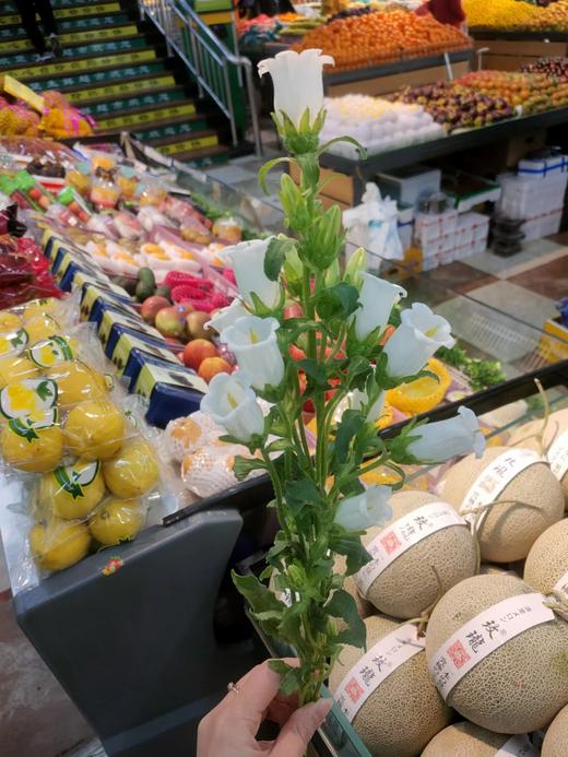 白风铃花2支（拼团） 商品图3