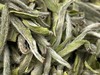 2023 极枞银针 天工·初芽 （顶端初芽白毫银针） 60来岁荒野老树  50克/500克 商品缩略图6