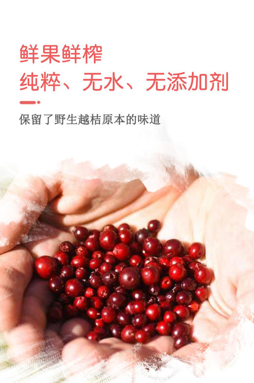 乐芭迪大兴安岭野生越桔花青素 蔓越莓原浆浓缩汁 孕妇儿童口服液 商品图3
