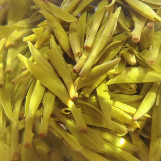【手工蒙顶黄芽】周四（10.23）中午12点开始 2025年头茬，一茶难求！魏师傅的茶 魏久淞亲制，三麸三包  芽条匀整  色泽嫩黄  芽毫显露  花香幽长  汤色黄亮透碧  滋味鲜醇回甘 商品图9