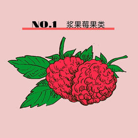 超级食物系列—浆果莓果