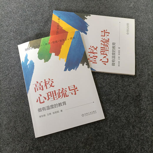 官网正版 高校心理疏导 李东艳 王艳 张阳阳 调整学生情绪 高校心理咨询辅导书籍 商品图3