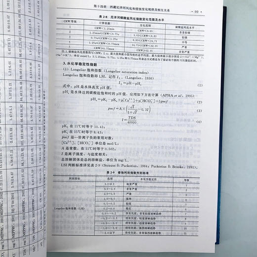 雅鲁藏布江裂腹鱼类养护体系及典型生境识别 商品图6