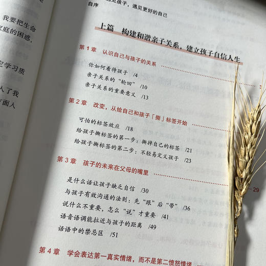 亲子关系中的高xiao学习法 商品图3