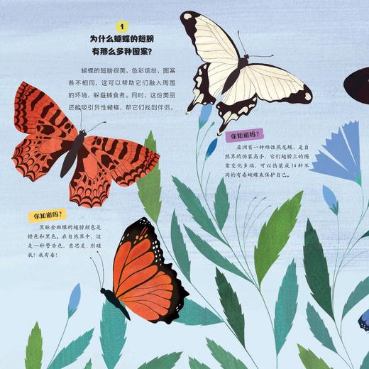 《一天一问奇趣小百科》（全4册） 商品图8