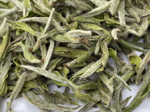 2023 极枞银针 天工·首日芽 （荒野老树白毫银针） 60来岁荒野老树 50克/500克 商品图13