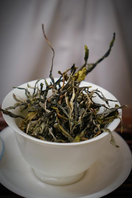 2024[藤条王正气塘]正气“领头羊” 商品图9