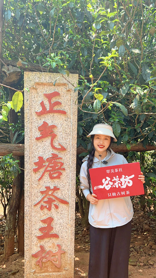 2024[藤条王正气塘]正气“领头羊” 商品图1