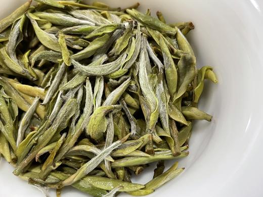 2023 极枞银针 天工·首日芽 （荒野老树白毫银针） 60来岁荒野老树 50克/500克 商品图7