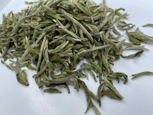 2023 极枞银针 天工·初芽 （顶端初芽白毫银针） 60来岁荒野老树  50克/500克 商品图5