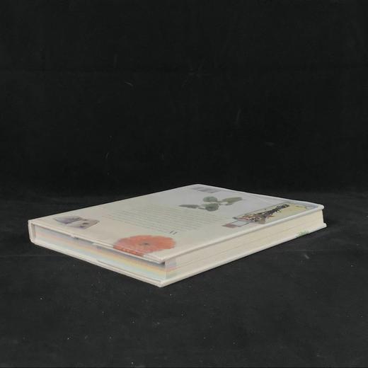 草药之书（辞典，种植，烹饪，功效） 数千幅彩色插图 精装16开 商品图2