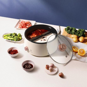 【团购展示】伊莱克斯 鸳鸯电火锅EGHP5120