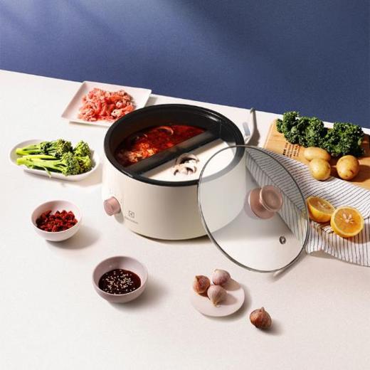 【团购展示】伊莱克斯 鸳鸯电火锅EGHP5120 商品图0