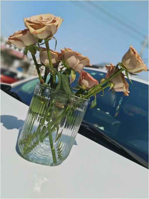 U型瓶7只卡布奇诺（拼团） 商品图2