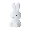 荷兰 Mr Maria 米菲兔 灯 Miffy Lamp 商品缩略图2