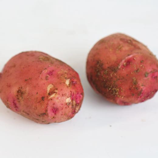 【全国包邮】2023年郧阳区新鲜黄心土豆 红美人5斤 商品图1