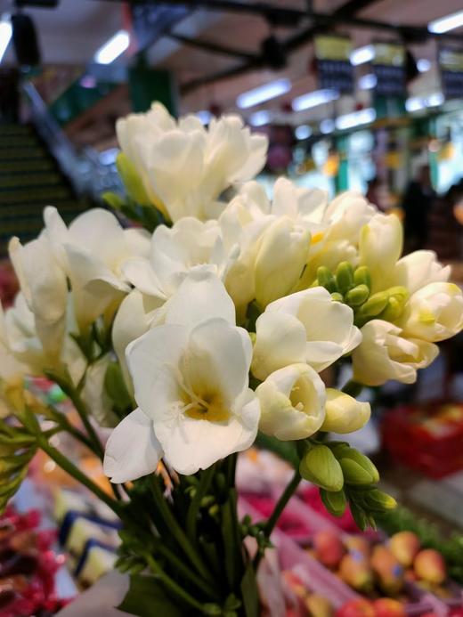 香雪兰4支（拼团） 商品图0